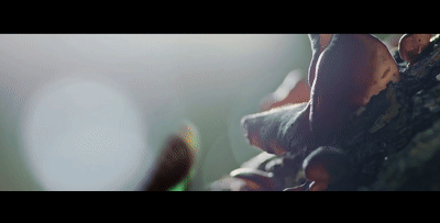 640 (1).gif